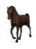 Images Gifs Animaux Gratuits