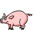 Image Gif Animaux Gratuit