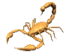 Image Gif Animaux Gratuit
