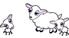 Image Gif Animaux Gratuit