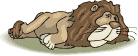 Image Gif Animaux Gratuit